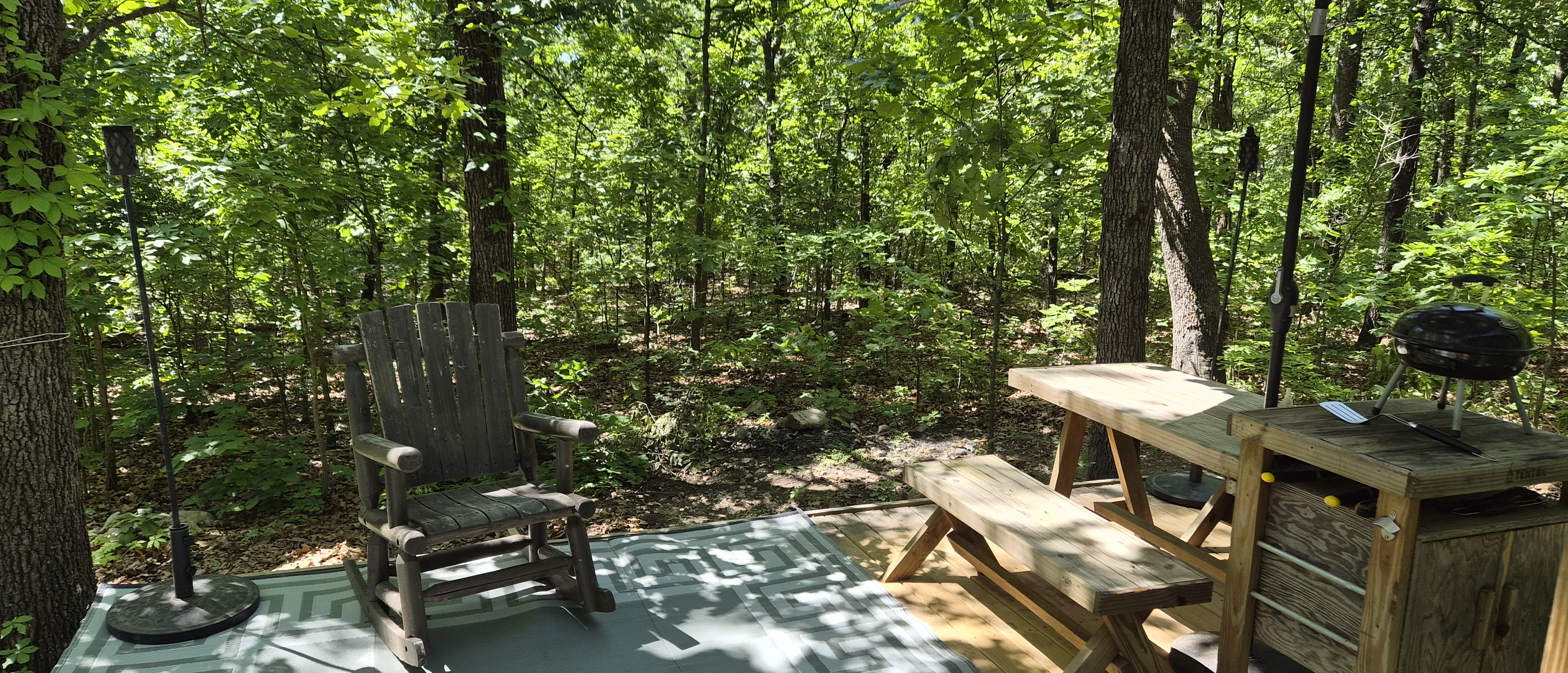 View from the cabin deck into the trees