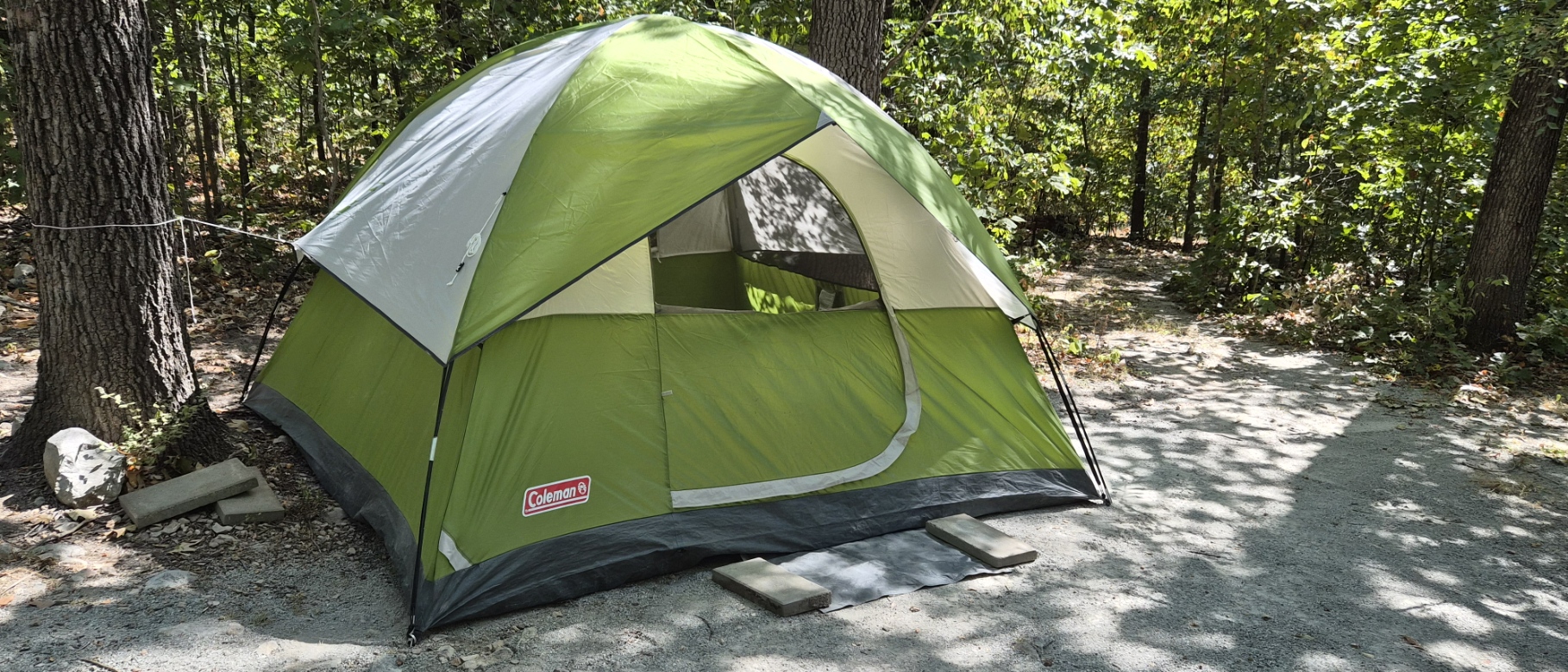 Optional green dome tent set up among the trees
